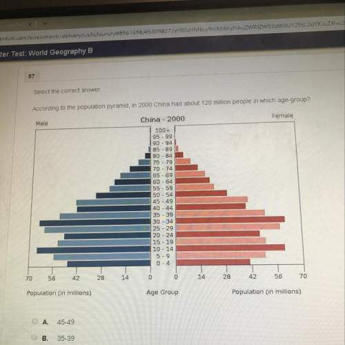 According to the population pyramid, in 2000 china had about 120 million people in which age-group?&lt;