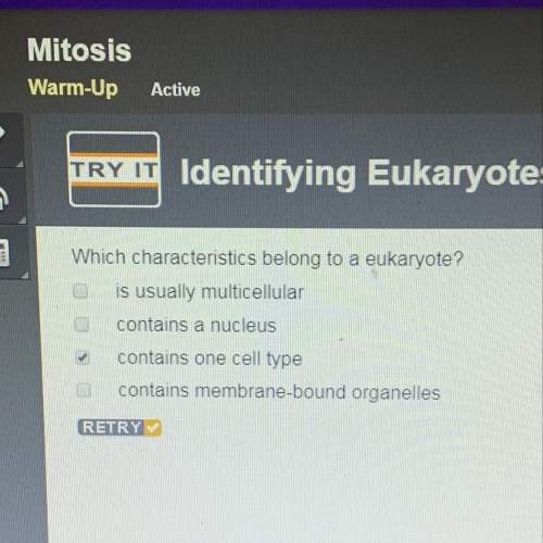 Which characteristics belong to a eukaryote