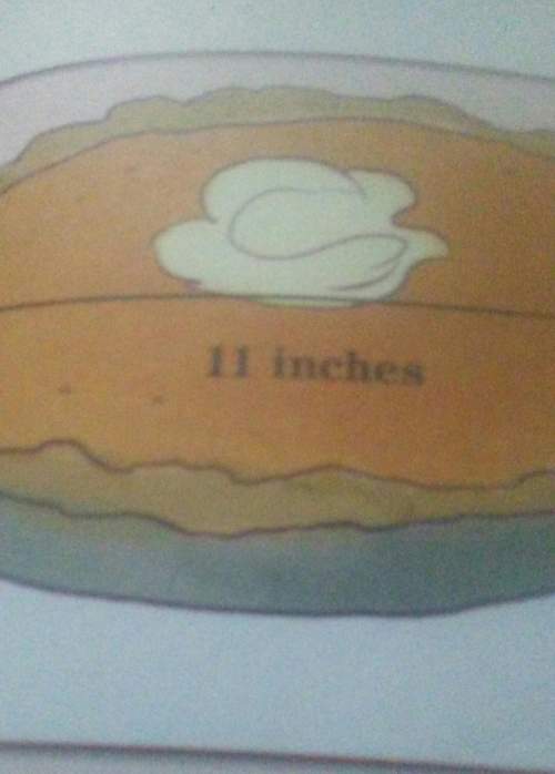 What is the circumference of the pie
