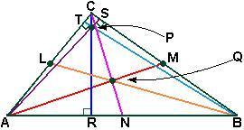 Name the following segment or point. given: l, m, n are midpoints orthocenter of triangle abc p q r