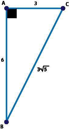 Given triangle abc, which equation could be used to find the measure of ∠b?  cos m sin m