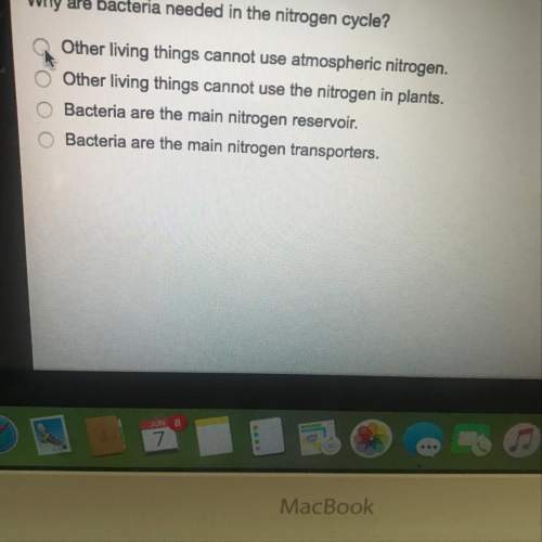 Why are bacteria needed in the nitrogen cycle