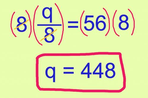Determine which number is a solution of the equation. q divide 8 = 56