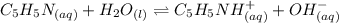C_5H_5N_{(aq)}+H_2O_{(l)}\rightleftharpoons C_5H_5NH^+_{(aq)}+OH^-_{(aq)}