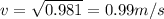 v = \sqrt{0.981} = 0.99 m/s