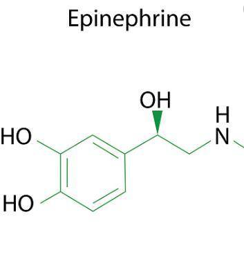 The  is an enzyme involved in the breakdown of serotonin, norepinephrine, and dopamine, and its supp