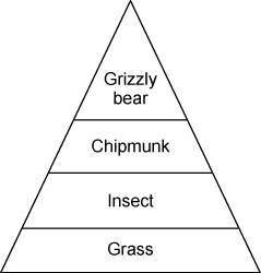 The energy pyramid below illustrates some feeding relationships in alpine meadows of Yellowstone Nat