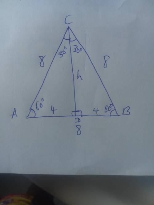 2) Find the height (to the nearest tenth) of an equilateral triangle with sides measuring 8 cm.