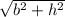 \sqrt{b^{2}+h^{2}}