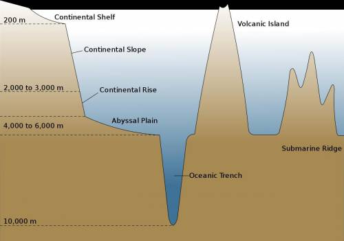 The correct order of seafloor features from the coastline to the mid-ocean ridge is . A. rise, abyss
