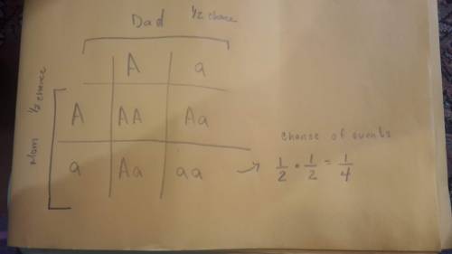 What is the probability that both parents will contribute a recessive allele for any given trait? Us