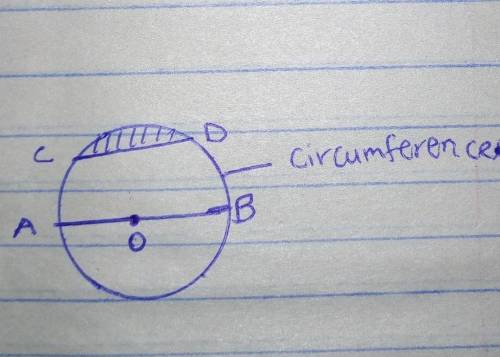 difference between the radius, the diameter, and a chord in a circle