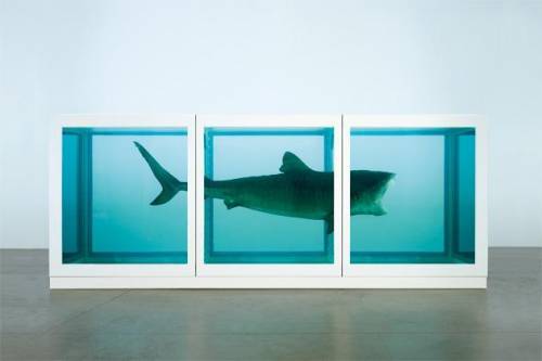 The Physical Impossibility of Death in the Mind of Someone Living, by Damien Hirst, is an example of