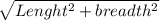 \sqrt{Lenght^2+ breadth^2}