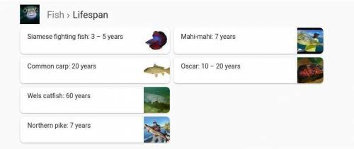How old does a fish live to?