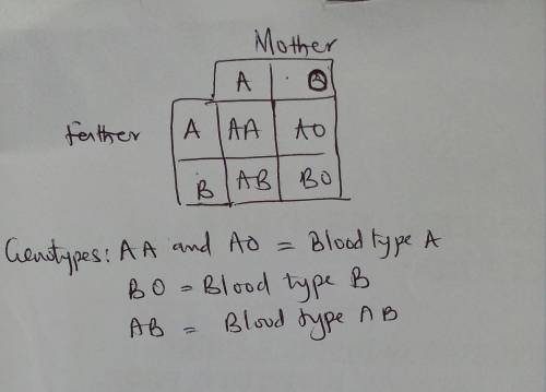 Could a child with type B blood with a mother of type A blood have a father with type A blood? Expla