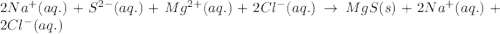 2Na^{+}(aq.)+S^{2-}(aq.)+Mg^{2+}(aq.)+2Cl^{-}(aq.)\rightarrow MgS(s)+2Na^+(aq.)+2Cl^-(aq.)