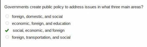 Governments create public policy to address issues in what three main areas? foreign, domestic, and