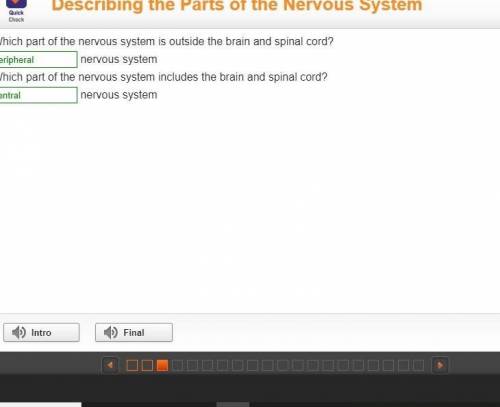 Which part of the nervous system is outside the brain and spinal cord? Blank nervous system