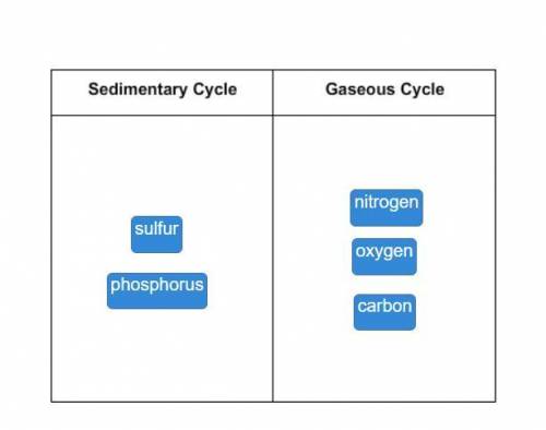 Match the elements to the type of cycle that they posses