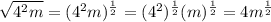 \sqrt{4^2m}=(4^2m)^{\frac{1}{2}}=(4^2)^{\frac{1}{2}}(m)^{\frac{1}{2}}=4m^{\frac{1}{2}}