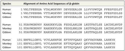 Scan along the aligned sequences, letter by letter, noting any positions where the amino acids in th