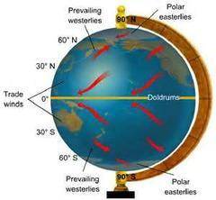 What is the main difference between the trade winds in the northern hemisphere and the trade winds i