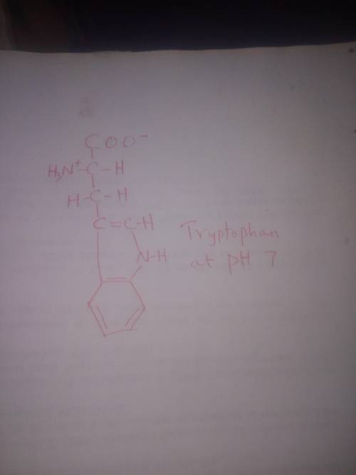 Draw the form of l-tryptophan which is present at biological ph.