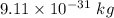 9.11\times 10^{-31}\ kg