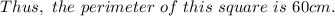 Thus,~the~perimeter~of~this~square~is~60cm.