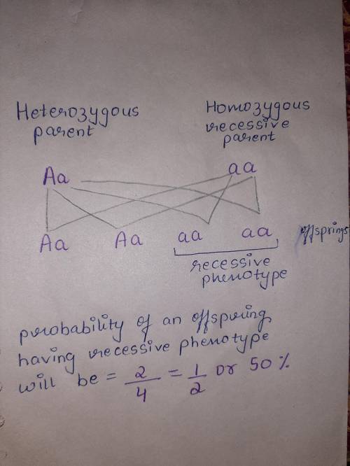 Assume a phenotype is determined by one gene with a dominant allele and a recessive allele. If one p