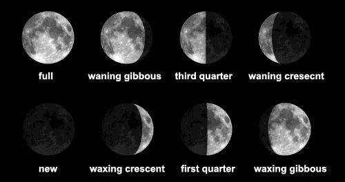 Which phase of the moon appears all dark