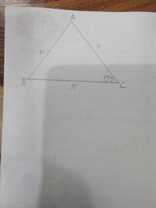 Find all solutions for a triangle with C=17deg, a=10, c=11. Round to the nearest tenth PLEASE HELP