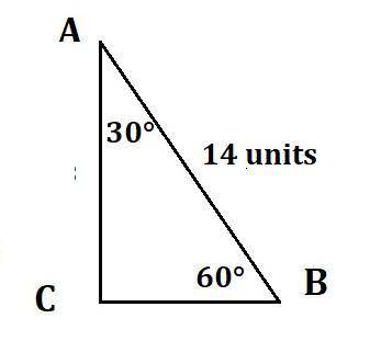 Find each length: the length of the longer leg of a 30° -60°-90° triangle with a hypotenuse of 14, w