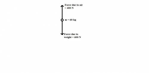 A 60.0 kg skydiver is accelerating downward in the presence of air. the force of the air pushing on
