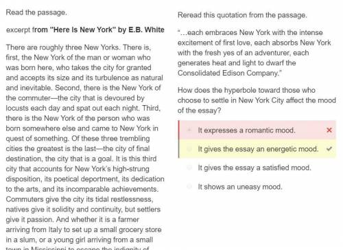 Reread this quotation from the passage. “…each embraces New York with the intense excitement of firs
