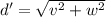 d'=\sqrt{v^2+w^2}