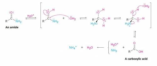With the correct choice of acid, acid hydrolysis of ethanamide could produce A) ethanoic acid and am