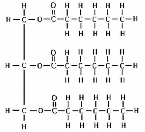 What is a triglyceride? Draw the skeletal structure for a saturated triglyceride whose hydrocarbon t