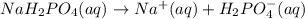 NaH_{2}PO_{4}(aq) \rightarrow Na^{+}(aq) + H_{2}PO^{-}_{4}(aq)
