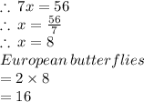 \therefore \: 7x = 56 \\  \therefore \: x =  \frac{56}{7}  \\  \therefore \: x = 8 \\ European  \: butterflies  \\ = 2 \times 8 \\  = 16