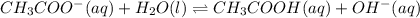 CH_{3}COO^{-}(aq) + H_{2}O(l) \rightleftharpoons CH_{3}COOH(aq) + OH^{-}(aq)
