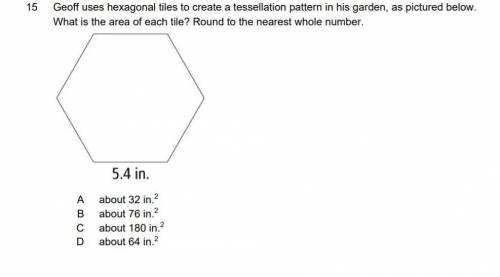 Geoff uses hexagonal tiles to create a tessellation pattern in his garden, as pictured below. What i