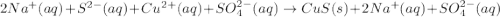 2Na^+(aq)+S^{2-}(aq)+Cu^{2+}(aq)+SO_4^{2-}(aq)\rightarrow CuS(s)+2Na^+(aq)+SO_4^{2-}(aq)