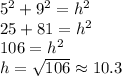5^2+9^2=h^2\\25 + 81 = h^2\\106=h^2\\h=\sqrt{106} \approx 10.3