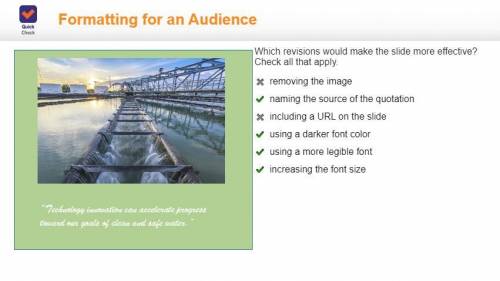 Which revisions would make the slide more effective? Check all that apply. removing the image naming