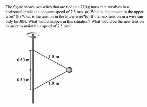 The figure shows two wires that are tied to a 710 g mass that revolves in a horizontal circle at a c