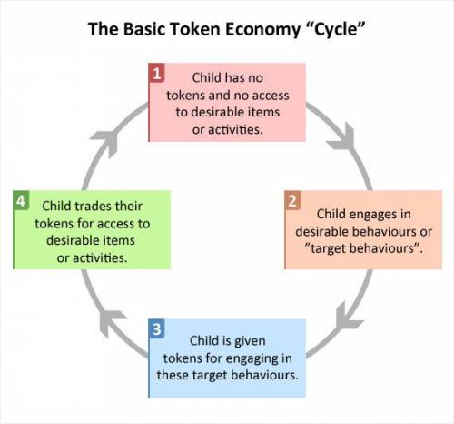 Token economies are reinforcement-based strategies that use points, tokens, and chips as  reinforcer