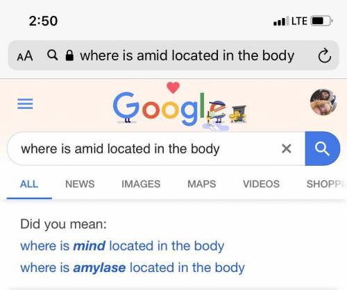 Where is amid located in the body