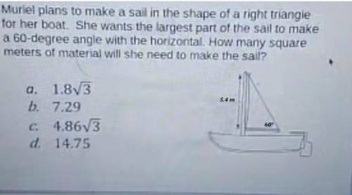 Muriel plans to make a sail in the shape of a right triangle for her boat. She wants the largest par